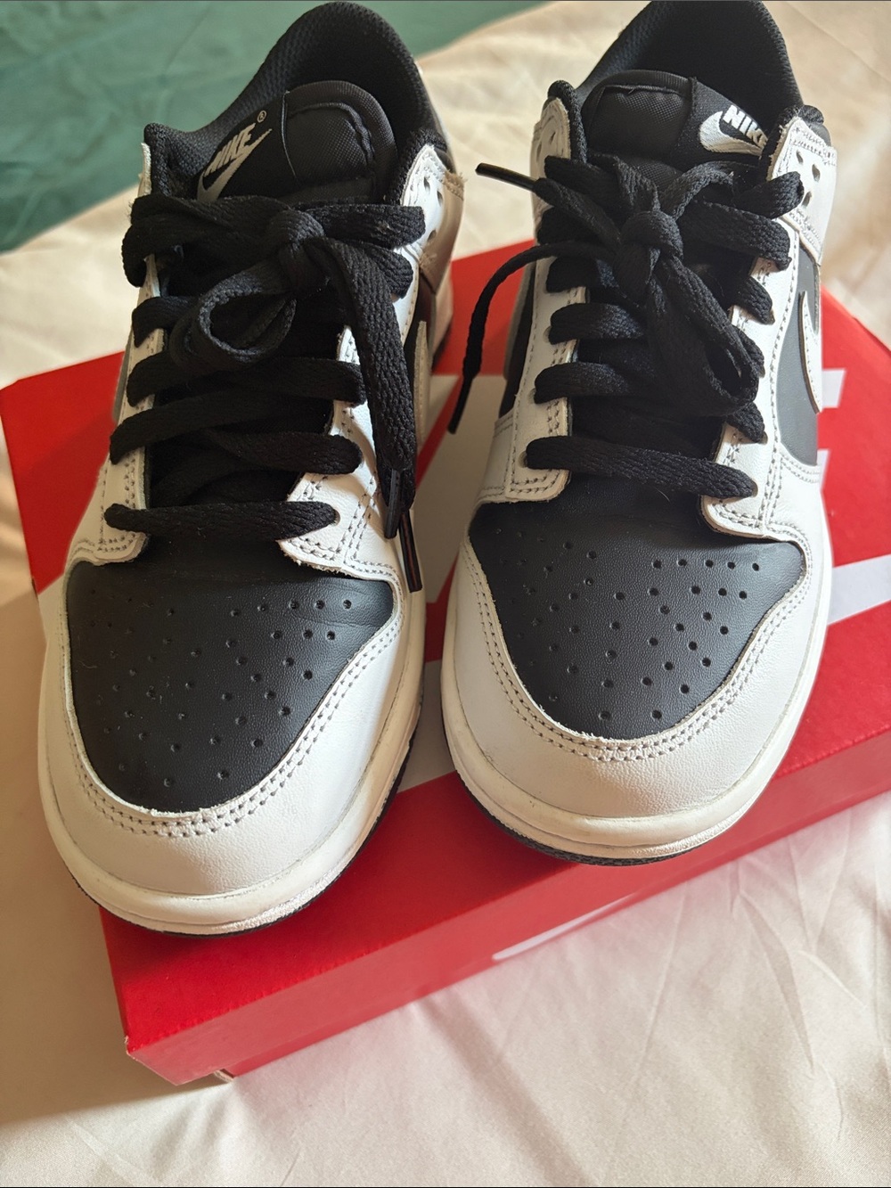 NWT - Nike Dunk Low (GS)